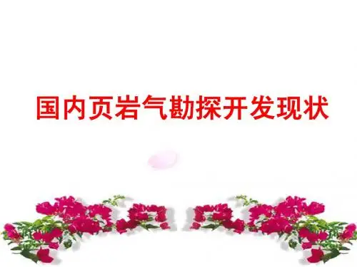 国内页岩气勘探开发现状