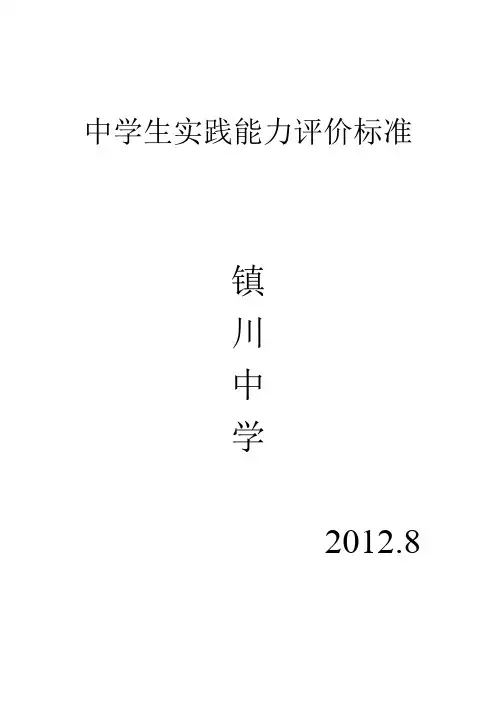 中学生实践能力评价标准