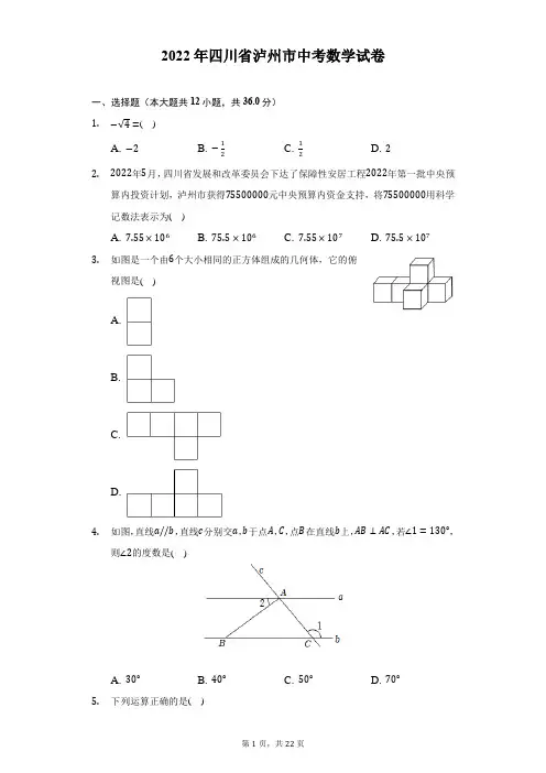 2022年四川省泸州市中考数学试题及答案解析