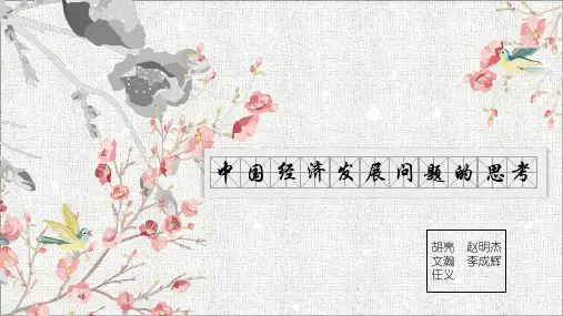 中国经济发展问题的思考(1)