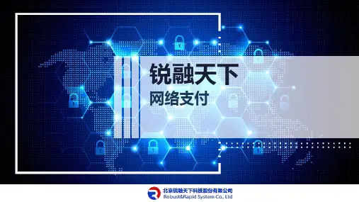 锐融天下网络支付系统