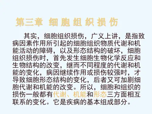 第五章__细胞组织损伤