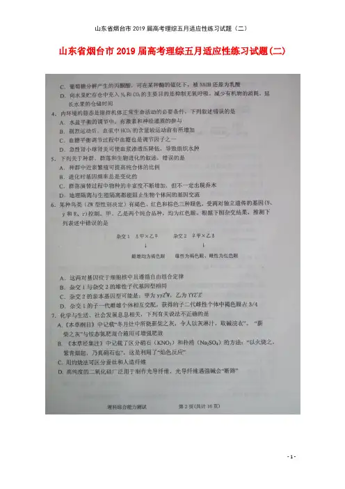 山东省烟台市2019届高考理综五月适应性练习试题(二)