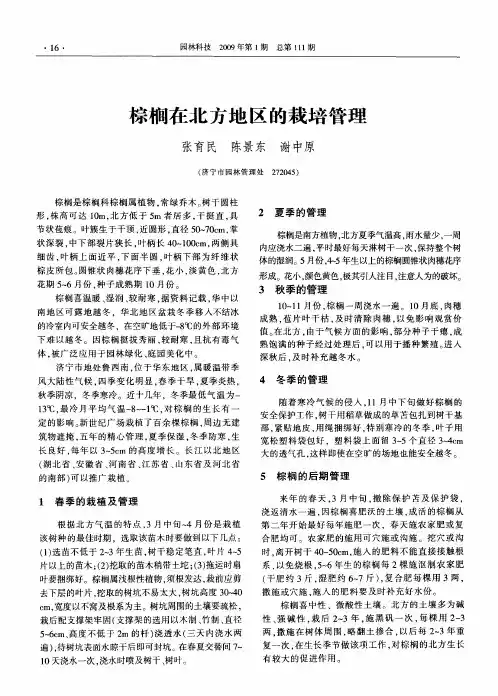 棕榈在北方地区的栽培管理