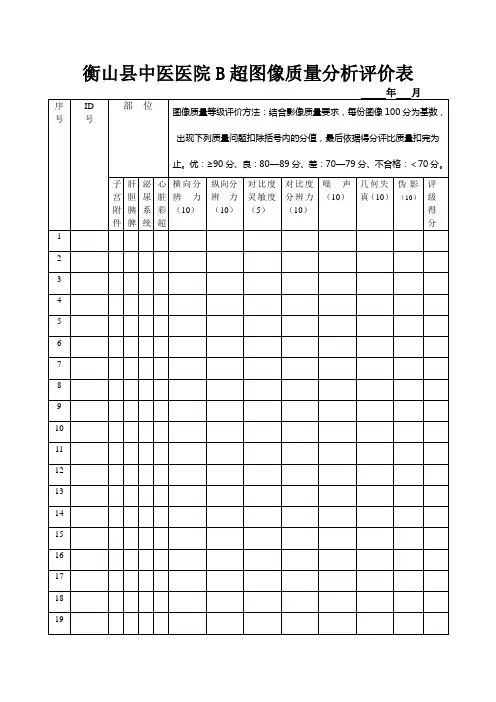 B超图像质量分析评价表2