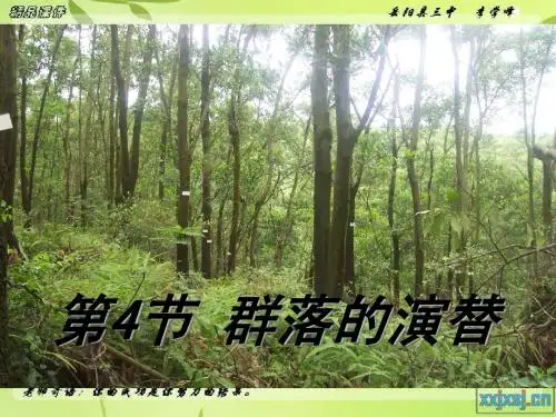 人教版教学课件第四节群落的演替教学课件