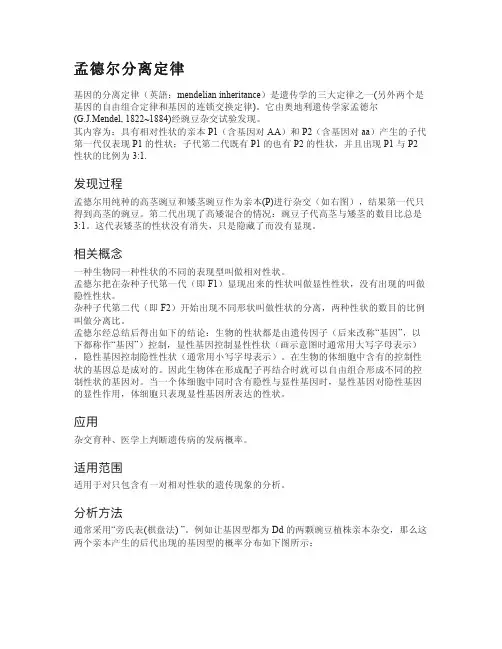 孟德尔分离定律