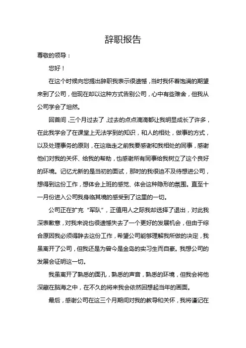 个人辞职报告