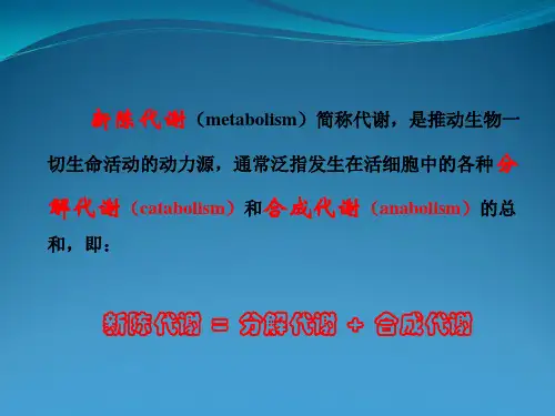 微生物新陈代谢 (3)