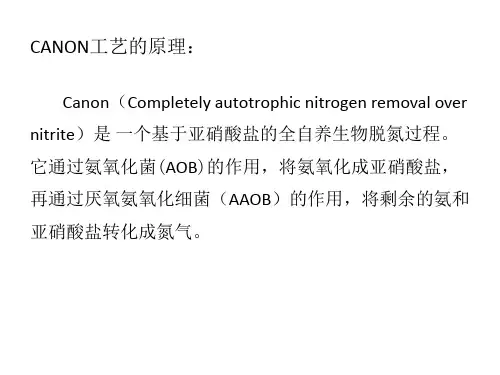 CANON工艺