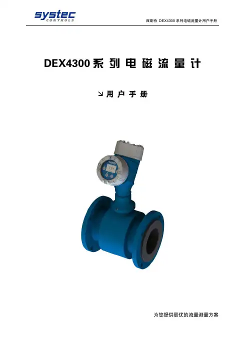 DEX4300 系 列 电 磁 流 量 计V1.0