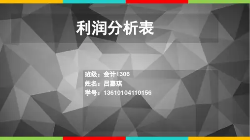 利润分析表