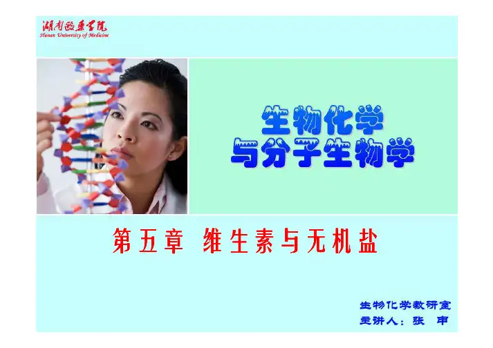 第四章 维生素与无机盐(第二节)