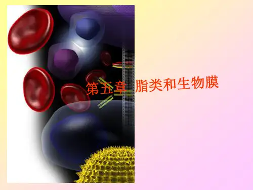 第五章 脂类和生物膜资料