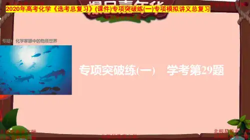 2020年高考化学《选考总复习》(课件)专项突破练(一)专项模拟讲义总复习(11)