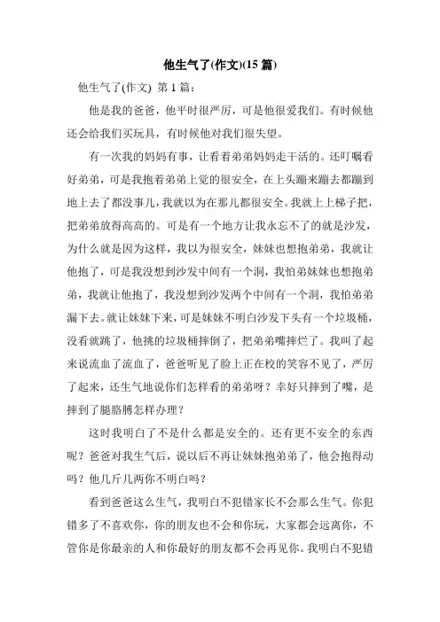新整理他生气了(作文)(15篇)