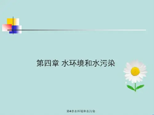 第4章水环境和水污染