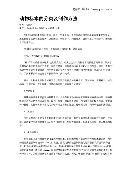 动物标本的分类及制作方法