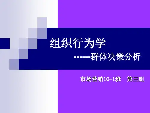 群体决策分析