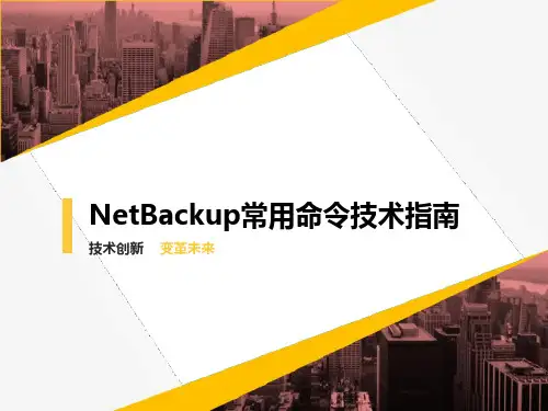 NetBackup常用命令技术指南