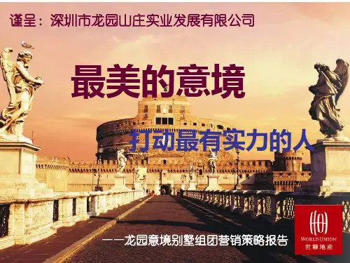 世联深圳龙园意境别墅组团营销策略报告97PPT