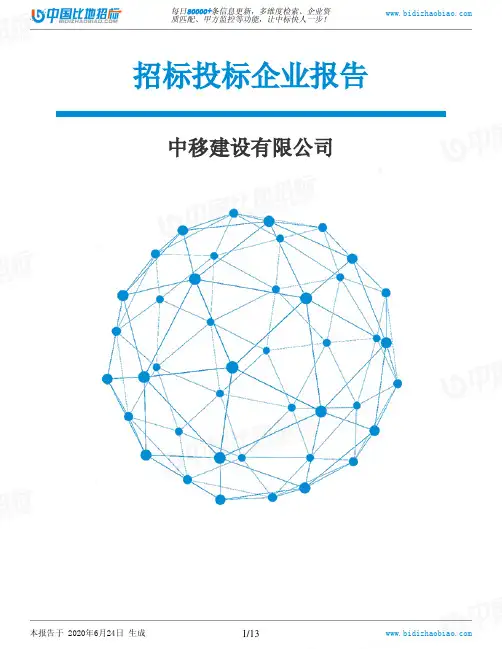 中移建设有限公司-招投标数据分析报告
