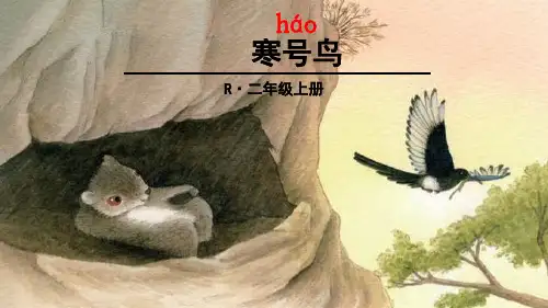 《寒号鸟》课件PPT