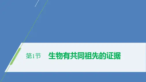 新人教版  必修2 生物有共同祖先的证据 课件 (共45张 )