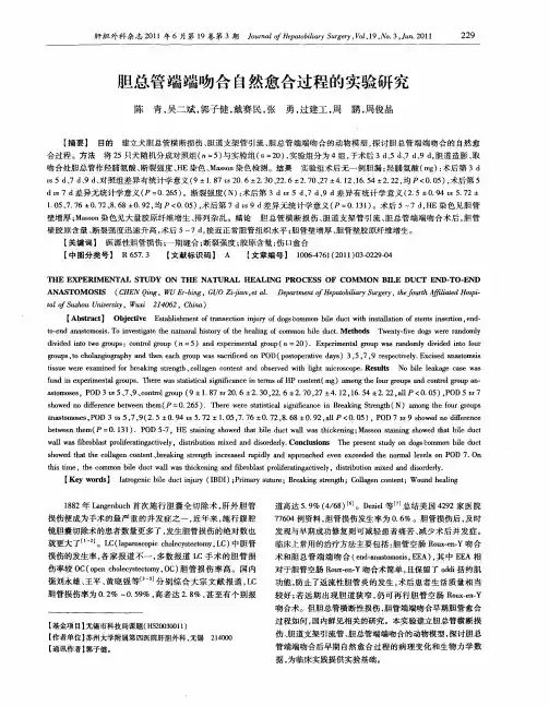 胆总管端端吻合自然愈合过程的实验研究