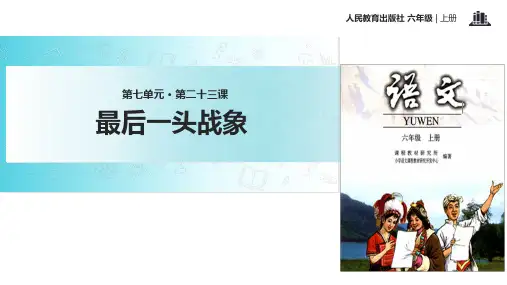 六年级上册语文课件-23 最后一头战象｜人教新课标(共22张PPT)