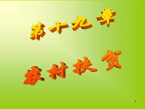 第十九章农村扶贫详解