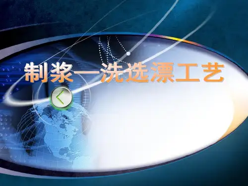 制浆工艺  ppt课件
