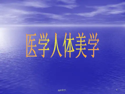 医学人体美学ppt课件