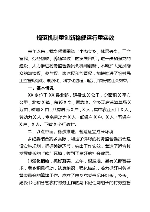 村务监督委员会自查报告