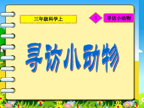 2.1《寻访小动物》ppt课件