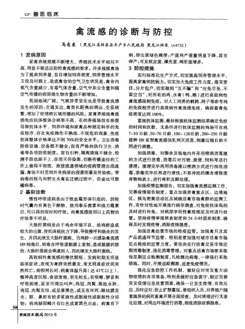 禽流感的诊断与防控
