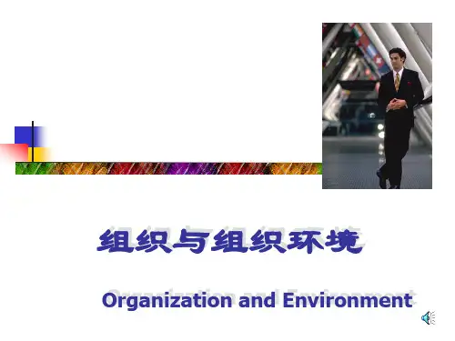 组织与组织环境