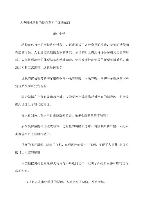 人类通过动物的特点发明了哪些东西