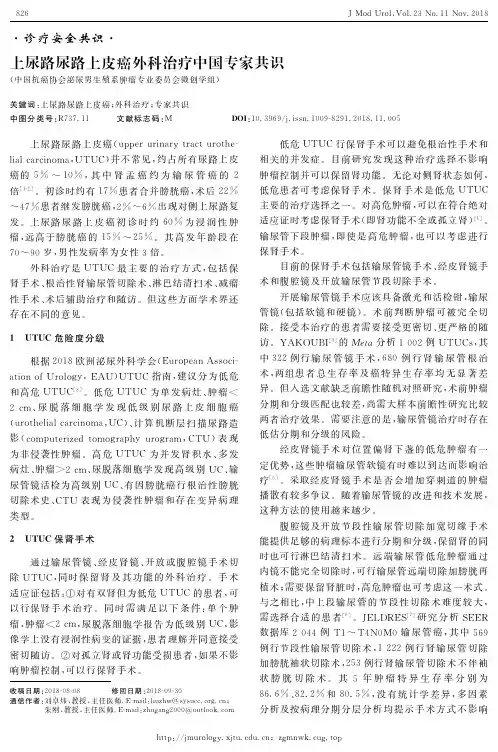 上尿路尿路上皮癌外科治疗中国专家共识