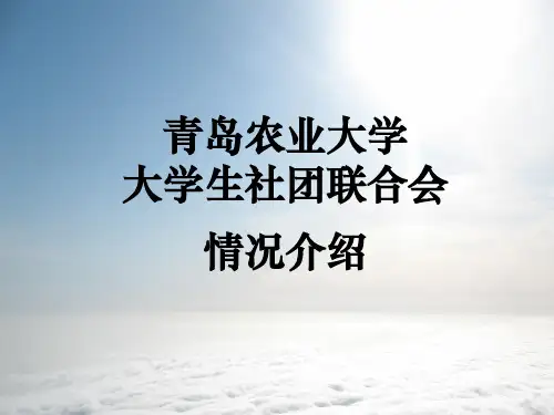 社团ppt模版