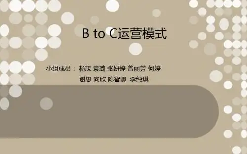 B2C电子商务模式