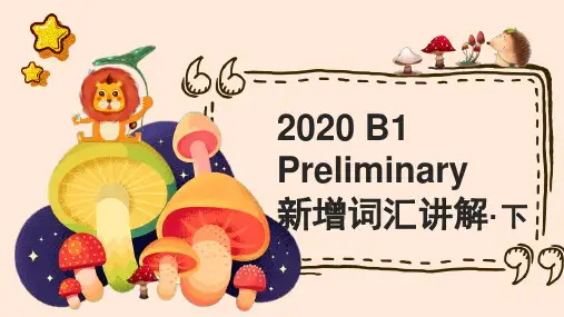 2020 PET新增词汇讲解-2