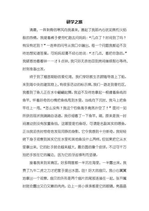 四年级作文：研学之旅作文800字