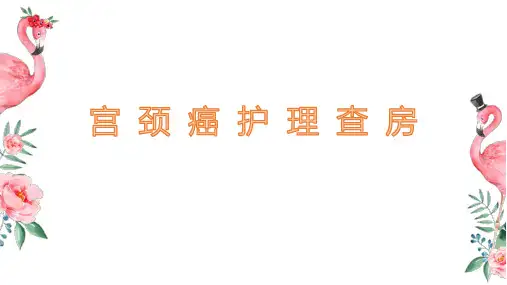 护理查房