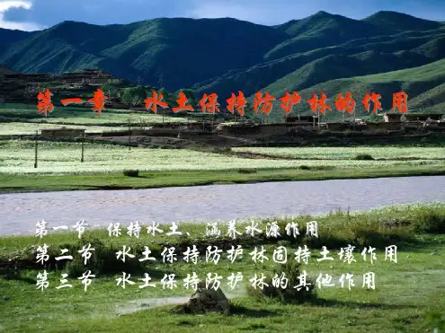 水土保持防护林的作用