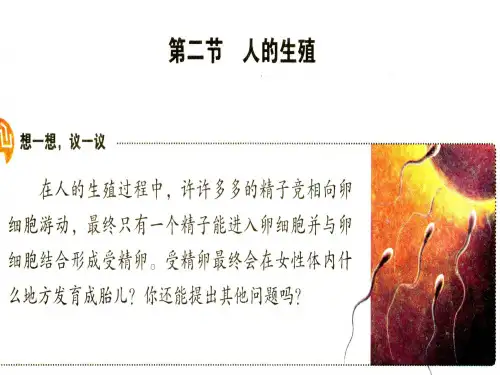 新教材-人的生殖-佛山谢永红