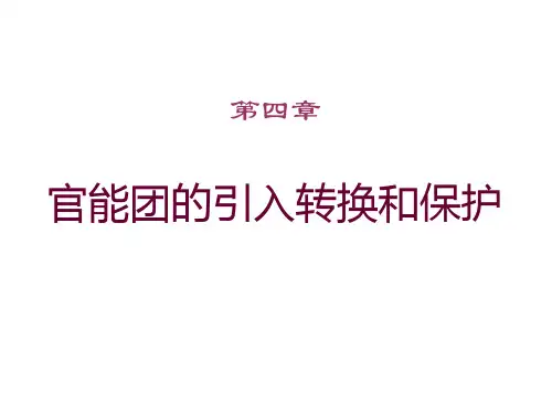 有机合成 官能团引入转换和保护