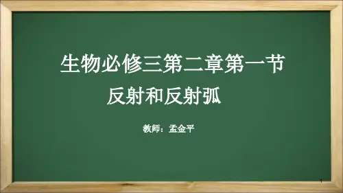 反射和反射弧(课堂PPT)