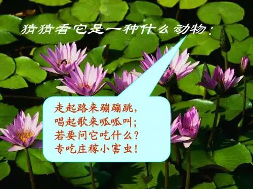 识字二 庄稼小卫兵