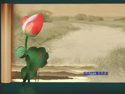 PPT模板(粉荷幽幽)
